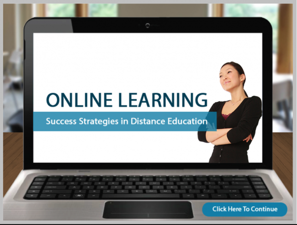 Online Learning Success Strategies