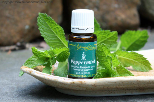 OPINION: Pepperment oil and its benefits