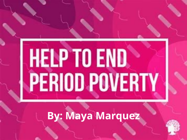 Help End Period Poverty!