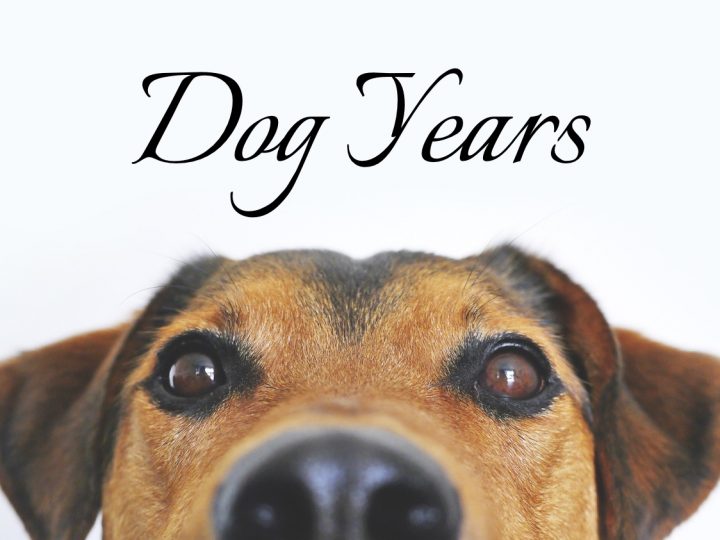 “Dog Years” by Shawn Marks