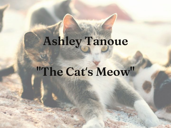 Ashley Tanoue, “The Catʻs Meow”