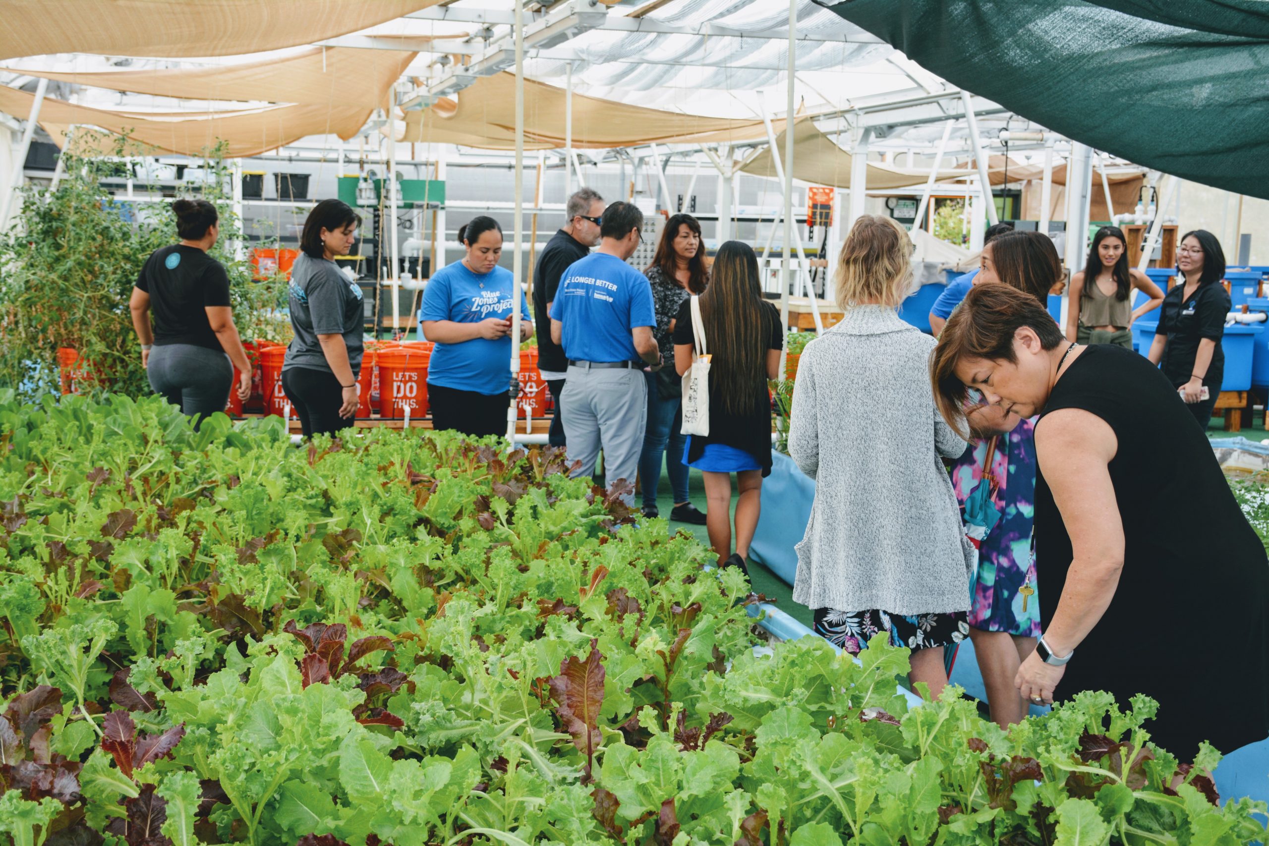 Blue Zones tour of greenhouse